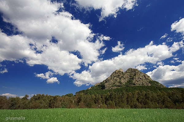 Siliqua - Castello di Acquafredda (40D_6514).jpg